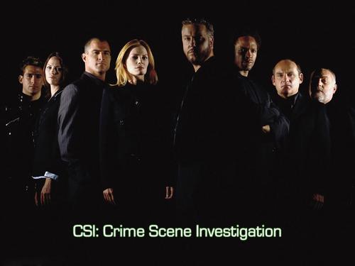 坚守正义 风格多变--《犯罪现场鉴证第8季》 –