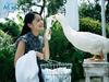 写真 #199宫崎葵/Aoi Miyazaki