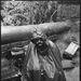 写真 #0001：弗朗西斯·福特·科波拉 Francis Ford Coppola