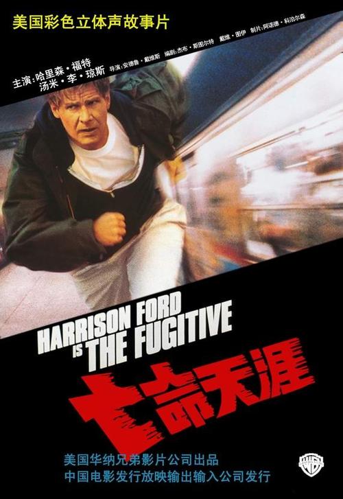 亡命天涯The Fugitive(1993)海报(中国) #01