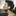Jason… 188101