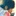 Shirl… 2197098