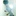 tauto… 737179