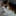 Jerry… 779185