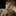 lilyt… 2413205