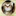 Rose2… 2177534