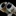 wall-E1901559 1901559
