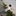 bpmf7 1071595