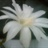 Echo781735 781735