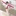 lemon… 1435804