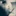 turek… 1463919