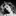littlecoffee 1631954