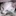 zangw… 1136331