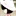 jessiecat 1426733