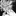 dio19… 1904743