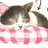 SugarCube 828839