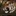 tiger… 900960