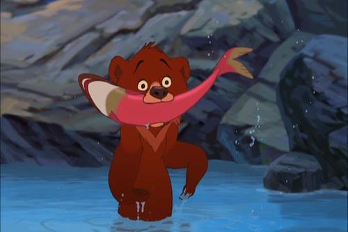 熊的传说2 官方剧照