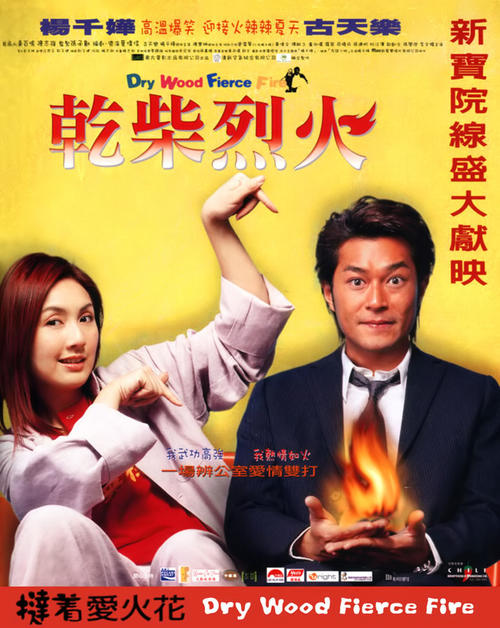 干柴烈火dry wood, fierce fire(2002)海报 #01