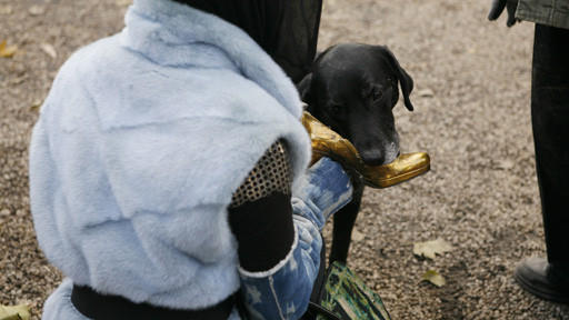 Dog Eat Dog海报