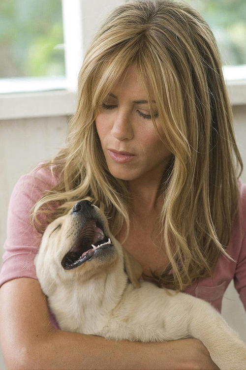 马利和我 官方剧照