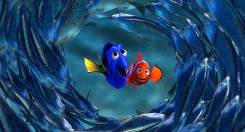 海底总动员finding nemo(2003)剧照 #13
