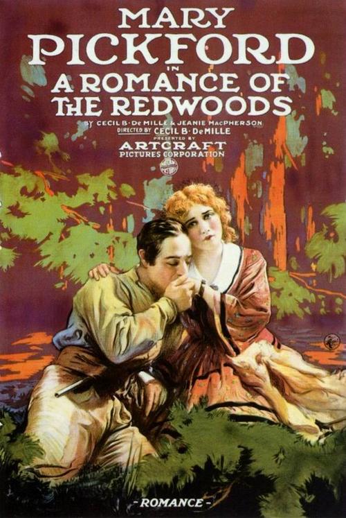 红木林传奇a romance of the redwoods(1917)海报#01